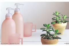 �C���[�W�摜